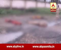 3 People Found Dead in Junagadh