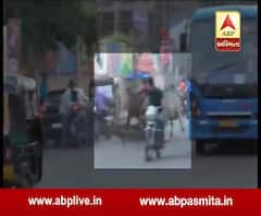 Two bulls FIght Injured a Man Yagnik Road in rajkot