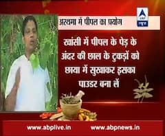 Acharya k Nuskhe: Powder and bark of Peepal gives relief in Asthma