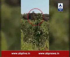 one more video of terrorist encounter