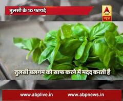 health benefits of basil leaves 