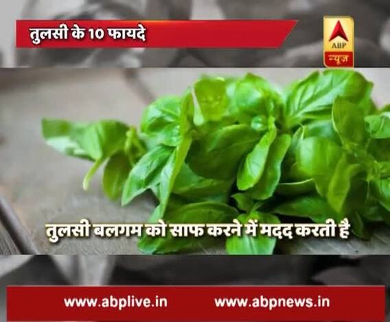 health benefits of basil leaves 