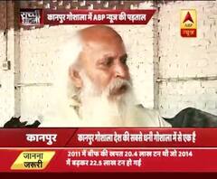 WATCH UP: cm yogi adityanath asked to submit reports on kanpur gaushala