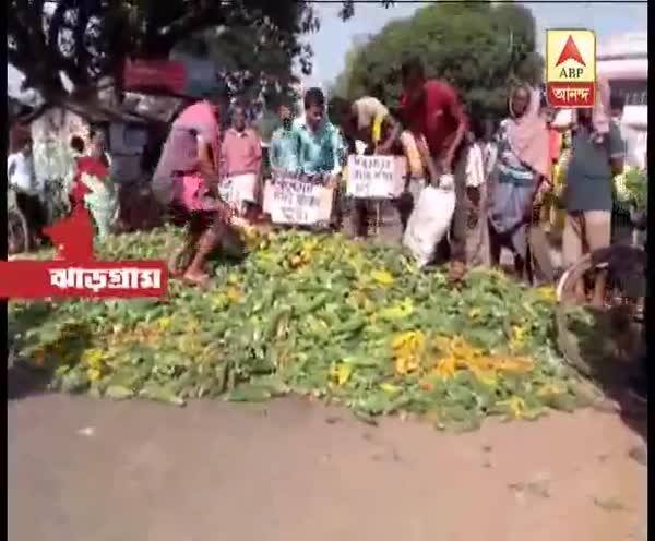  ন্যায্য দাম না পাওয়ায় জামবনিতে করলা চাষিদের বিক্ষোভ