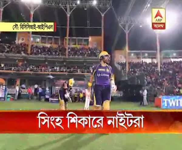  সিংহ শিকারে নাইটরা