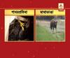 crocodile enters in a pond at patharprotima, Bisons creart ruckus at mathabhanga