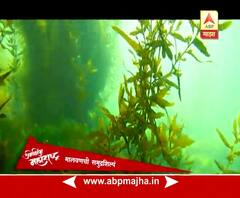 1st May Special : Amazing Maharashtra : Malvan : Sea Craft : 02:05:201