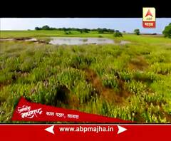 1st May Special : Amazing Maharashtra : Satara : Kas Plateau : 01:05:201