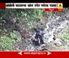Sindhudurg : Tourist Fall In Aamboli Ghat