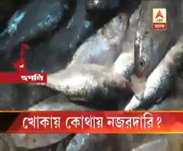  খোকায় কোথায় নজরদারি?