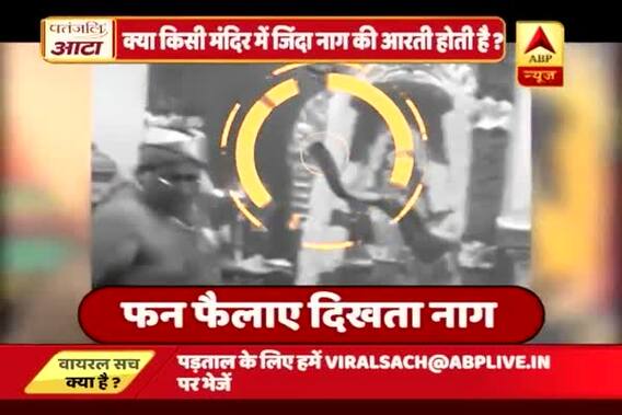 WATCH Viral Sach: Is Mahaarti of alive snake is being performed on Naagpanchmi?