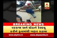 Unfortunate! Horse carrying groom fall into well