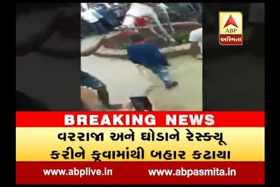 Unfortunate! Horse carrying groom fall into well
