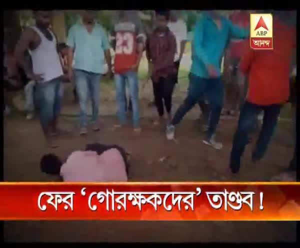  ফের ‘গোরক্ষকদের’ তাণ্ডব!