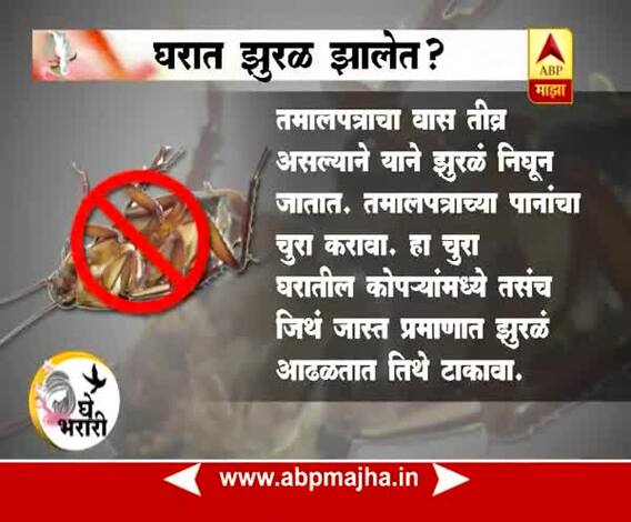Ghe Bharari : Tips : How to Kill Cockroaches Permanently : 21:07:2017
