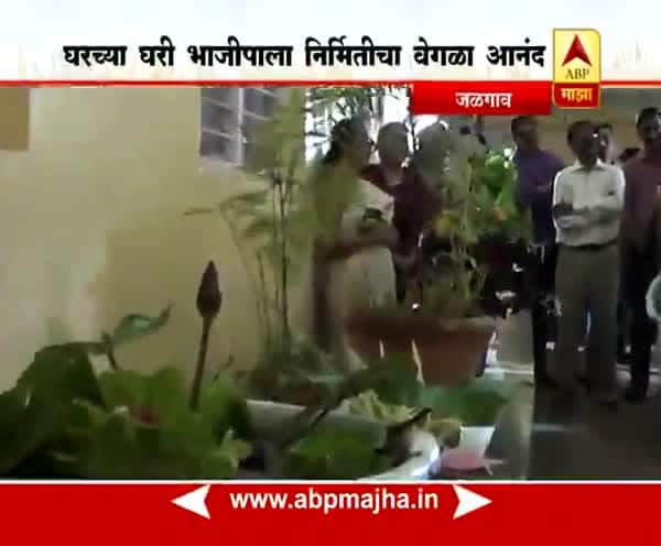 712: Jalgaon: Terrace Garden : Whatsapp Group: 31:08:2017