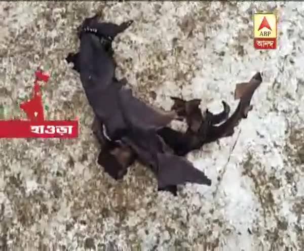  টাকা চুরির অভিযোগ, অপমানে গায়ে আগুন দিয়ে আত্মঘাতী ষষ্ঠ শ্রেণির ছাত্রী