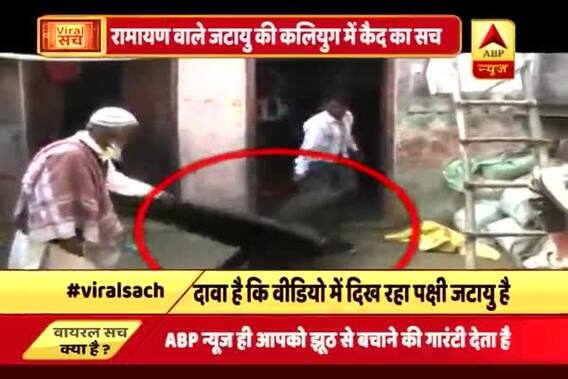 Viral Sach: Have Muslims caught Ramayan\'s \'Jatayu\' in Kalyug?