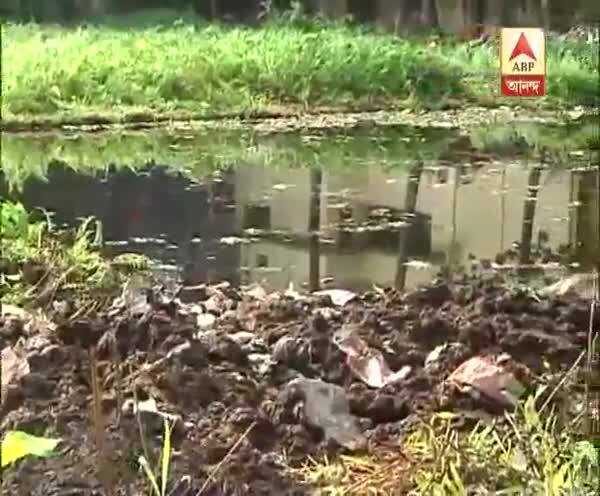  ডেঙ্গি আতঙ্ক দক্ষিণ দমদম পুরসভায়, দুই পড়ুয়া সহ মৃত ৪, আক্রান্ত ৩০০-র বেশি