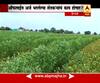 Hingoli : Farmer Crop Insurance And Issue Special Story