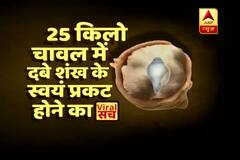 Viral Sach: This shell appears by itself if buried below 25kg rice