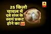 Viral Sach: This shell appears by itself if buried below 25kg rice