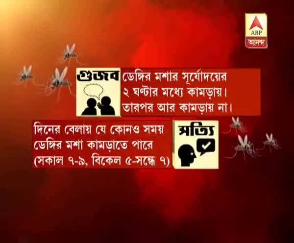  ডেঙ্গি আতঙ্কে গুজবে কান দেবেন না, কী বলছেন বিশেষজ্ঞরা? শুনুন