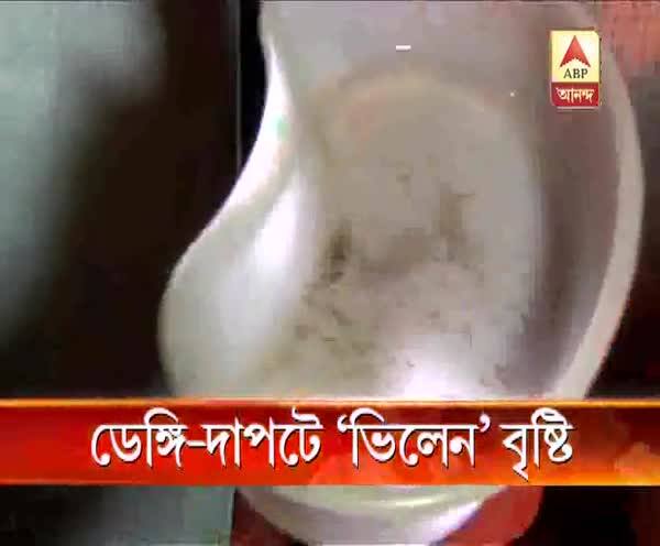  ডেঙ্গি-দাপটে ‘ভিলেন’ বৃষ্টি