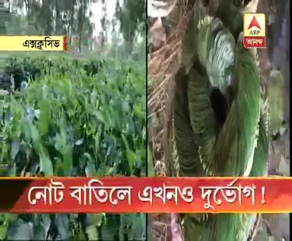  নোট বাতিলে এখনও দুর্ভোগ!