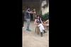Sunny Leone reaction on seeing a snake will leave you in splits, Live Video