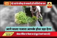 Viral Sach: Green vegetables being washed in sewer water at several places