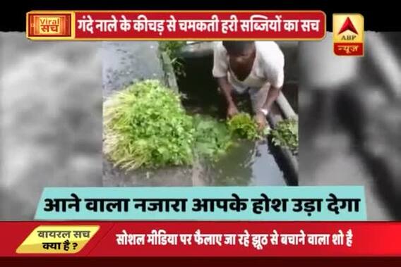Viral Sach: Green vegetables being washed in sewer water at several places