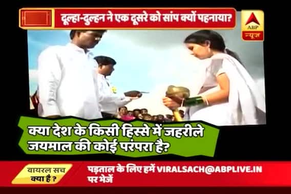 Viral Sach: Bride and groom use a snake as garland for their wedding to spread awareness over animal welfare