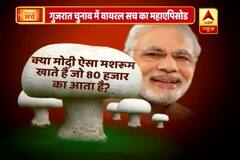 Viral Sach: Is mushroom worth Rs 80,000 the secret behind PM Modi\'s fairness? Know the truth