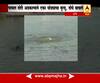 Thane : Horse drowned in masunda lake
