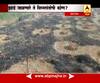Ambernath : 20,000 trees burnt by unknown persons