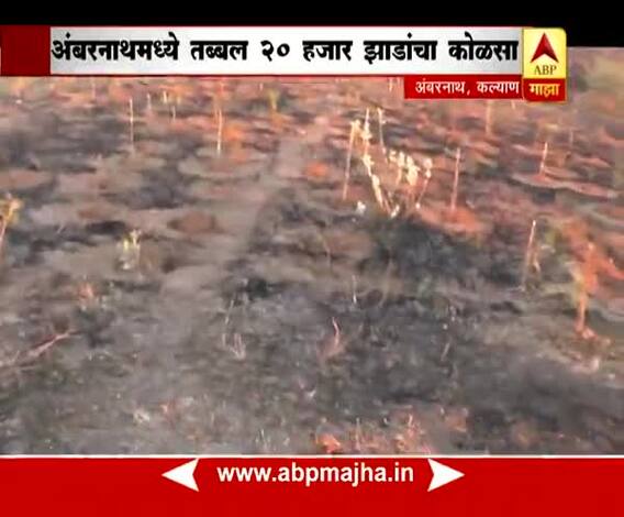 Ambernath : Report on 20,000 trees burn