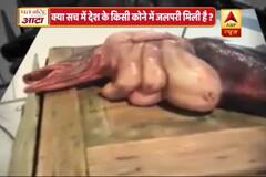 Viral Sach: Know truth behind mermaid video going viral on social media