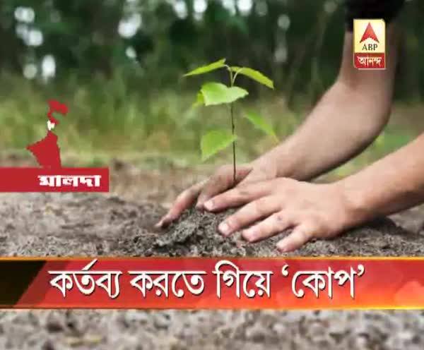  মালদায় গাছ চুরি আটকাতে গিয়ে আক্রান্ত নিরাপত্তারক্ষী