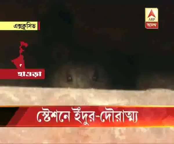  হাওড়া স্টেশনে ইঁদুর-দৌরাত্ম্য,  স্টেশনের মারাত্মক ক্ষতি হচ্ছে, মত বিশেষজ্ঞদের