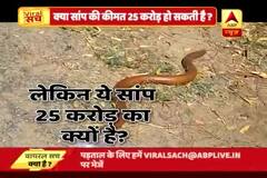 Viral Sach: A two headed snake sold for Rs 25 crore?