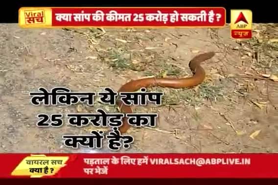 Viral Sach: A two headed snake sold for Rs 25 crore?