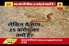 Viral Sach: A two headed snake sold for Rs 25 crore?