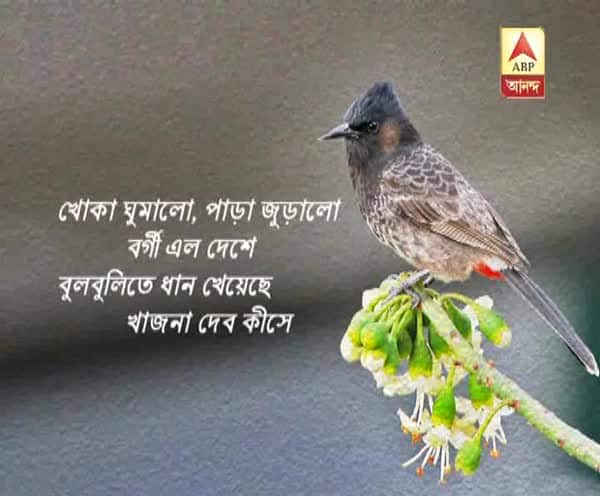  মকরসংক্রান্তিতে ঝাড়গ্রামেে বুলবুলির লড়াই