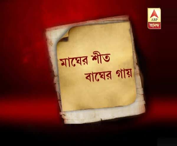  ফুলের অভাবে মৌমাছিদের বংশরক্ষায় চিনিগোলা জল খাওয়াচ্ছেন মালদার মৌমাছি পালকরা