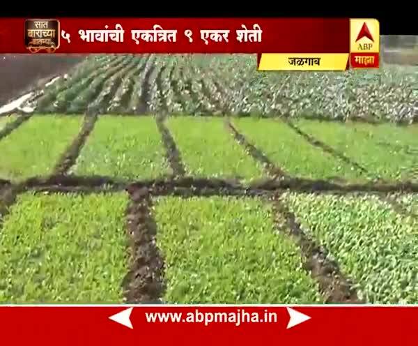 712 : Jalgaon : Kobi Cultivation : Success Story of Patil Family : 22:01:2018
