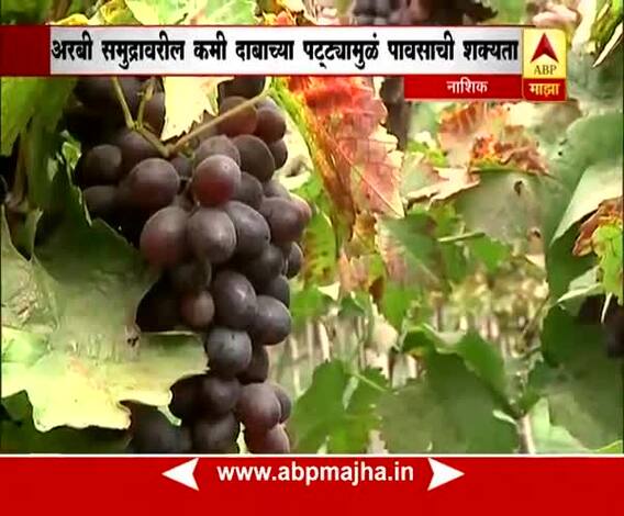 Nashik: farmers in tension due to climate change