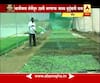 712 : Beed : Mix Crop Cultivation : Sucsess Story of Jadhav Family : 09:03:2018