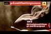 Viral Sach: Agarbaati smoke can cause cancer? 