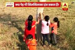 Viral Sach: Social media video claims a tree who feels the tickle